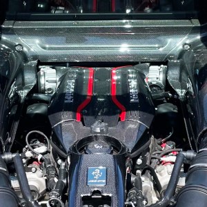 Ferrari 488 Carbon Fiber Manifolds / Plenum (Covers)