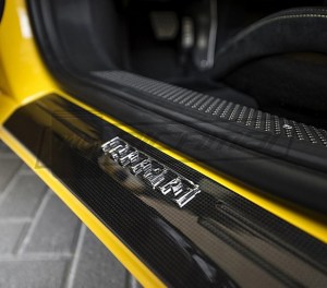 Carbon Fiber Kick Plates (Door Sills)