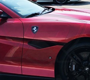 Portofino Carbon Fender Shields